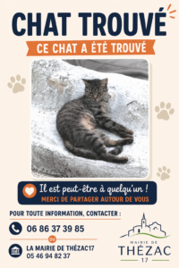CHAT TROUVÉ