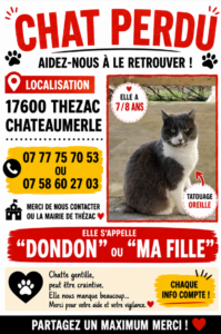 Chat Perdu